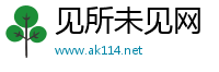 见所未见网